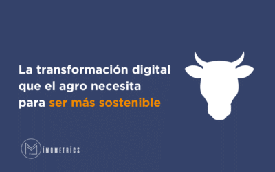 La transformación digital que el agro necesita para ser más sostenible